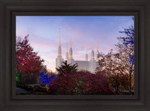 Load image into Gallery viewer, Washington DC Christmas Morning
