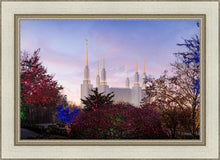 Load image into Gallery viewer, Washington DC Christmas Morning