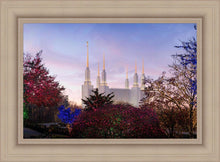 Load image into Gallery viewer, Washington DC Christmas Morning