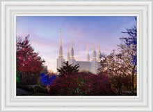 Load image into Gallery viewer, Washington DC Christmas Morning