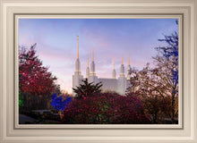 Load image into Gallery viewer, Washington DC Christmas Morning
