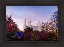 Load image into Gallery viewer, Washington DC Christmas Morning