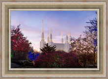 Load image into Gallery viewer, Washington DC Christmas Morning