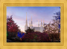 Load image into Gallery viewer, Washington DC Christmas Morning