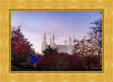 Load image into Gallery viewer, Washington DC Christmas Morning