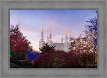 Load image into Gallery viewer, Washington DC Christmas Morning