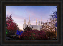 Load image into Gallery viewer, Washington DC Christmas Morning