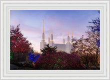 Load image into Gallery viewer, Washington DC Christmas Morning