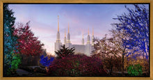 Load image into Gallery viewer, Washington DC Christmas Morning