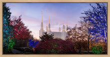 Load image into Gallery viewer, Washington DC Christmas Morning