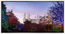 Load image into Gallery viewer, Washington DC Christmas Morning