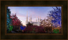 Load image into Gallery viewer, Washington DC Christmas Morning