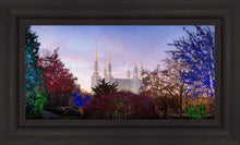 Load image into Gallery viewer, Washington DC Christmas Morning