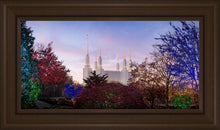 Load image into Gallery viewer, Washington DC Christmas Morning