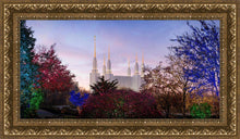 Load image into Gallery viewer, Washington DC Christmas Morning