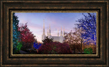 Load image into Gallery viewer, Washington DC Christmas Morning