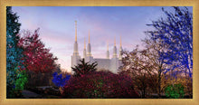 Load image into Gallery viewer, Washington DC Christmas Morning