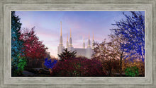 Load image into Gallery viewer, Washington DC Christmas Morning