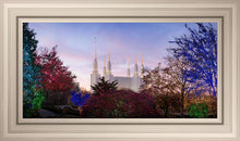 Load image into Gallery viewer, Washington DC Christmas Morning