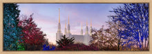 Load image into Gallery viewer, Washington DC Christmas Morning