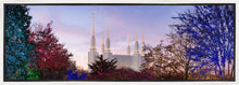 Load image into Gallery viewer, Washington DC Christmas Morning