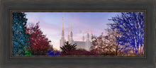 Load image into Gallery viewer, Washington DC Christmas Morning