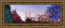 Load image into Gallery viewer, Washington DC Christmas Morning