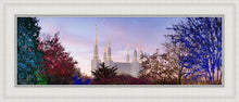 Load image into Gallery viewer, Washington DC Christmas Morning