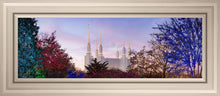 Load image into Gallery viewer, Washington DC Christmas Morning
