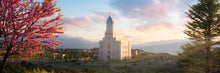 Load image into Gallery viewer, Cedar City Temple Time For Eternal Things
