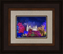 Load image into Gallery viewer, Washington DC Temple Christmas Lights