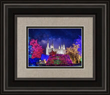 Load image into Gallery viewer, Washington DC Temple Christmas Lights