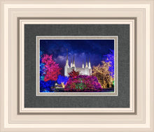 Load image into Gallery viewer, Washington DC Temple Christmas Lights