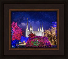 Load image into Gallery viewer, Washington DC Temple Christmas Lights