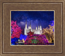 Load image into Gallery viewer, Washington DC Temple Christmas Lights