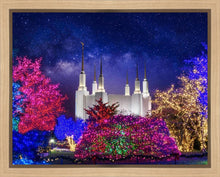 Load image into Gallery viewer, Washington DC Temple Christmas Lights