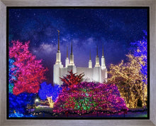 Load image into Gallery viewer, Washington DC Temple Christmas Lights