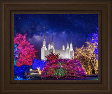 Load image into Gallery viewer, Washington DC Temple Christmas Lights