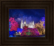 Load image into Gallery viewer, Washington DC Temple Christmas Lights