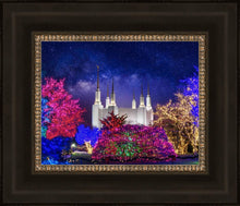 Load image into Gallery viewer, Washington DC Temple Christmas Lights