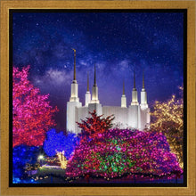 Load image into Gallery viewer, Washington DC Temple Christmas Lights