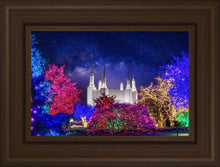 Load image into Gallery viewer, Washington DC Temple Christmas Lights