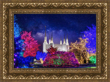 Load image into Gallery viewer, Washington DC Temple Christmas Lights