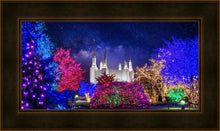 Load image into Gallery viewer, Washington DC Temple Christmas Lights