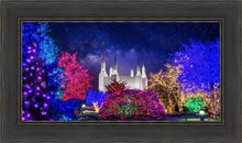 Load image into Gallery viewer, Washington DC Temple Christmas Lights