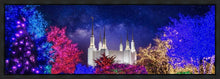 Load image into Gallery viewer, Washington DC Temple Christmas Lights