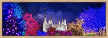 Load image into Gallery viewer, Washington DC Temple Christmas Lights