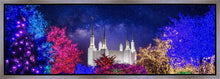 Load image into Gallery viewer, Washington DC Temple Christmas Lights