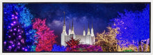 Load image into Gallery viewer, Washington DC Temple Christmas Lights