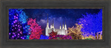 Load image into Gallery viewer, Washington DC Temple Christmas Lights